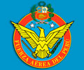 FUERZA AÉREA(FAP)