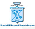 HOSPITAL HONORIO DELGADO